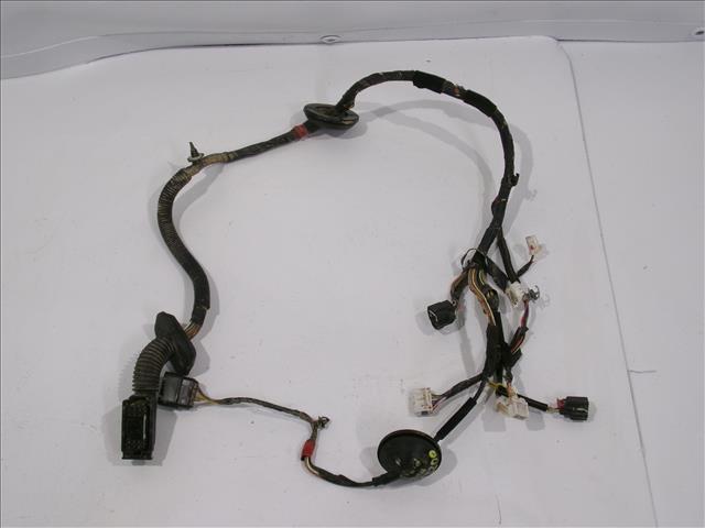 Cableado Puerta Delantera Derecha