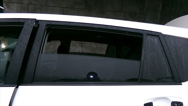 Cristal Puerta Trasera Izquierda