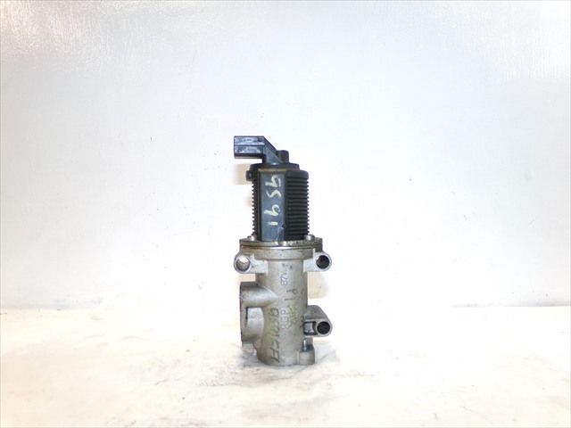 Valvula Egr