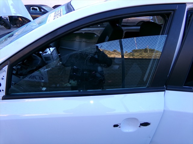 Cristal Puerta Delantera Izquierda