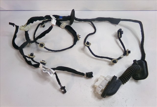 Cableado Puerta Trasera Derecha