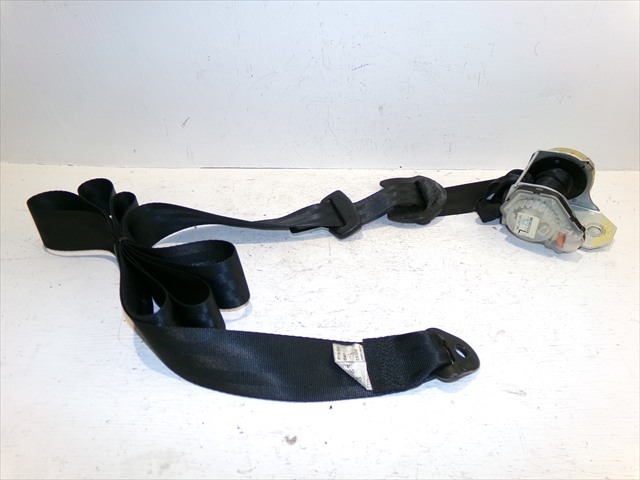 Cinturon Trasero Izquierdo