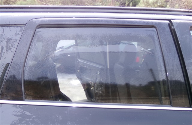 Cristal Puerta Trasera Derecha