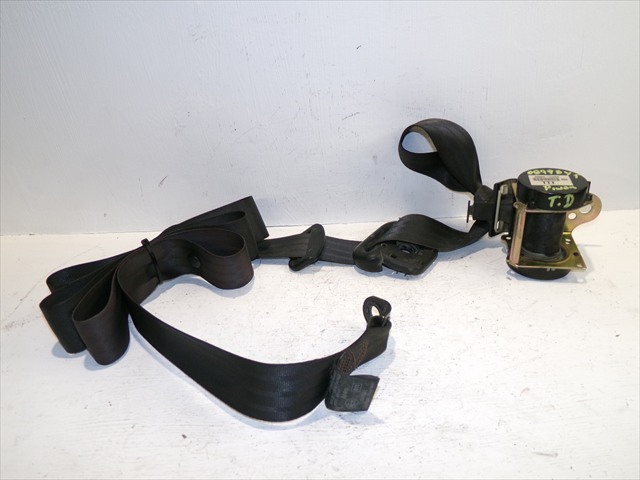 Cinturon Trasero Derecho