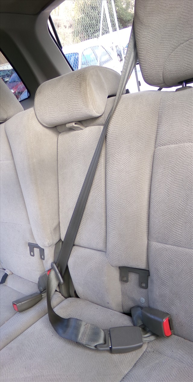 Cinturon Trasero Central