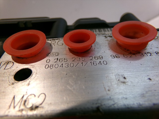 Foto 5